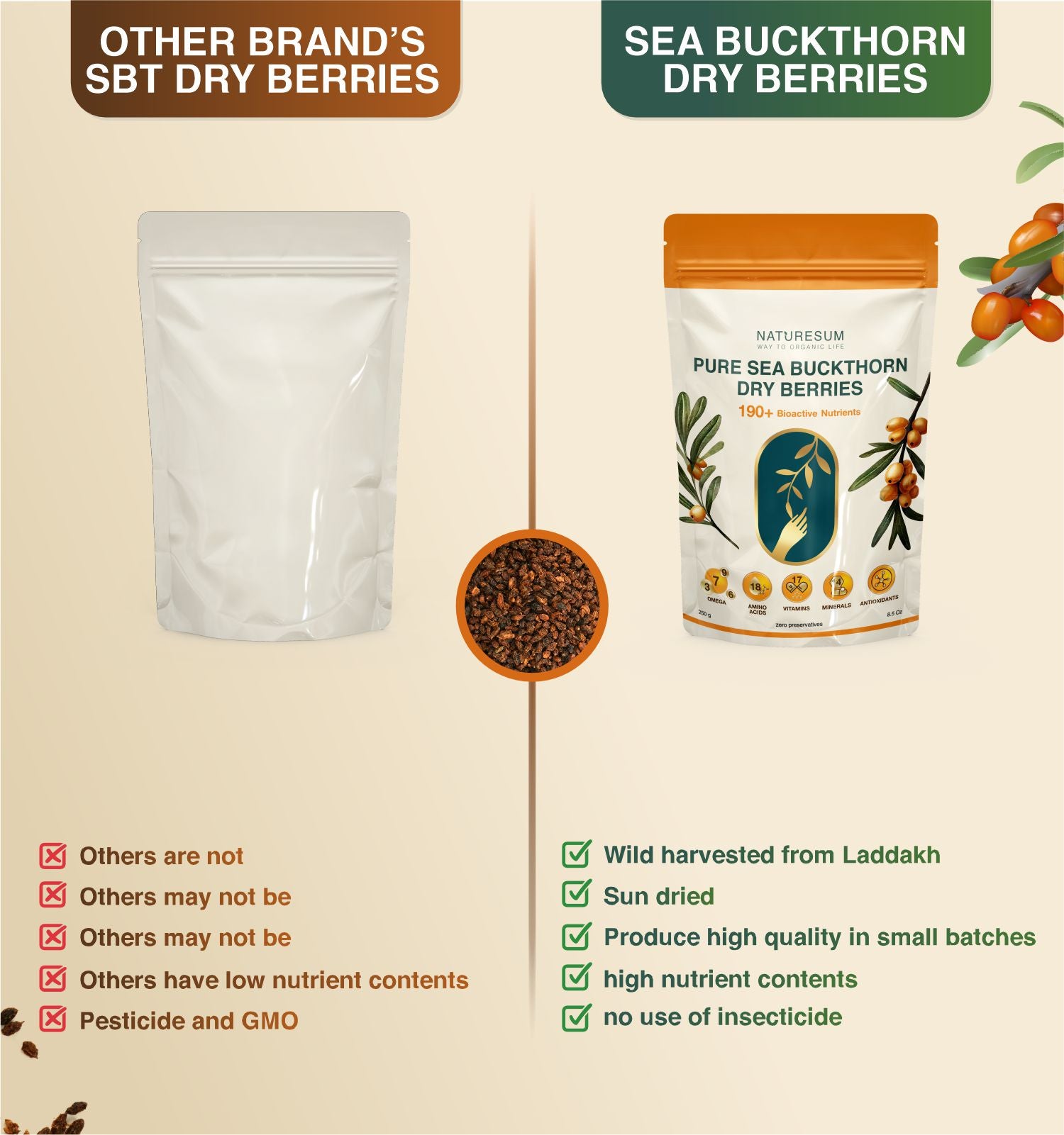 PURE SEA BUCKTHORN DRY BERRIES